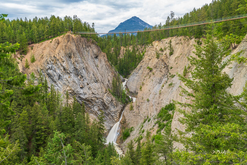 Suspension bridge over Golden Gorge