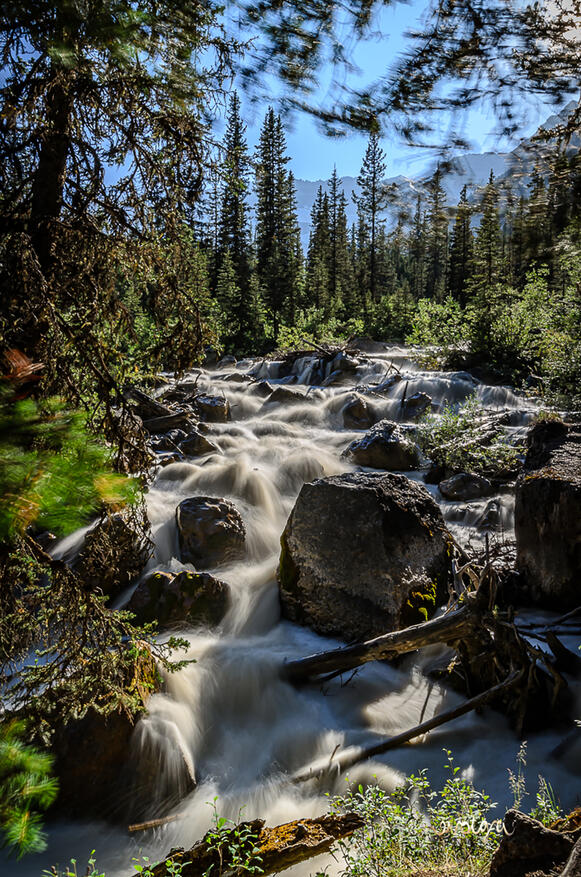 Lake Louise's Glacier
