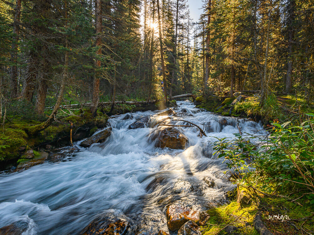 On the Way to Consolation Lakes, Alberta