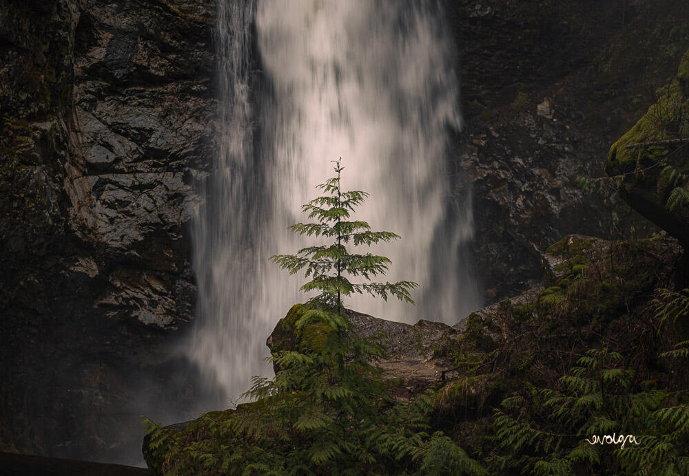 Vancouver Waterfalls