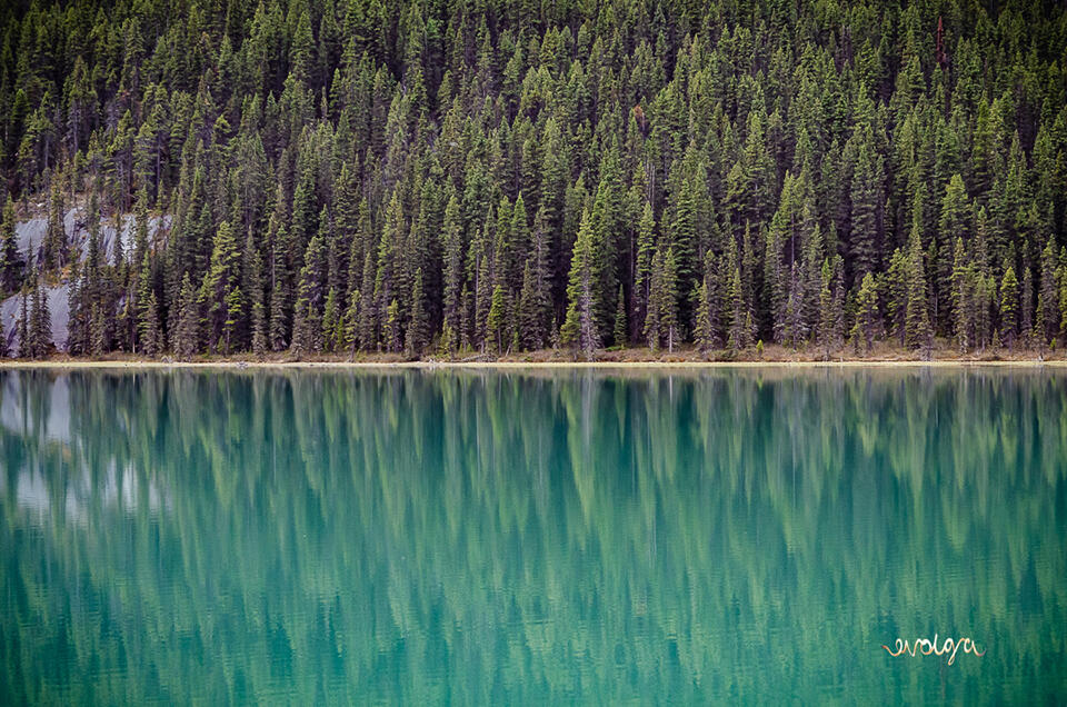 Fifty Shades of Green