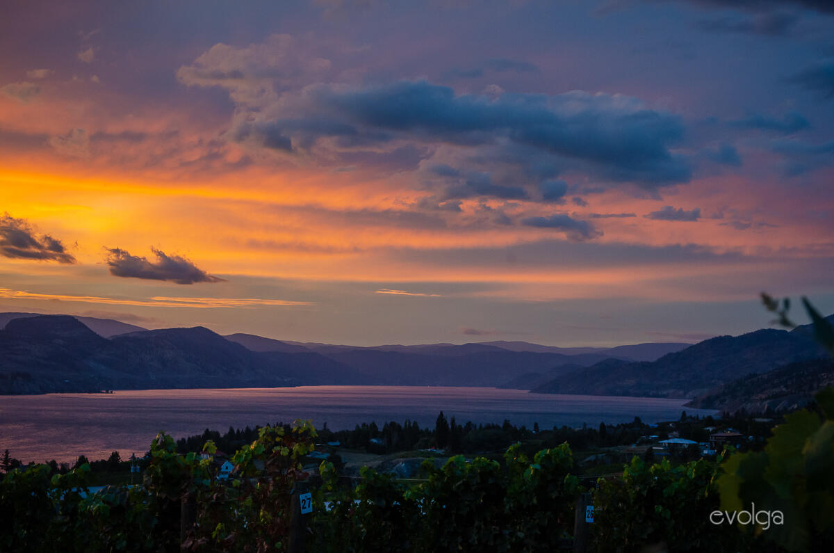 Wineries of Naramata, BC