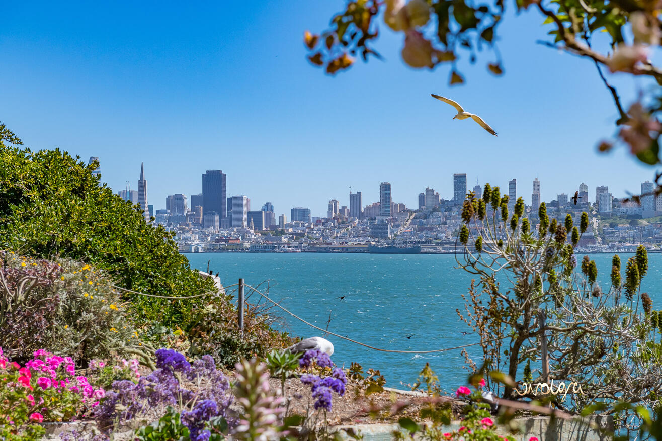 View of San Francisco from Alcatraz Island