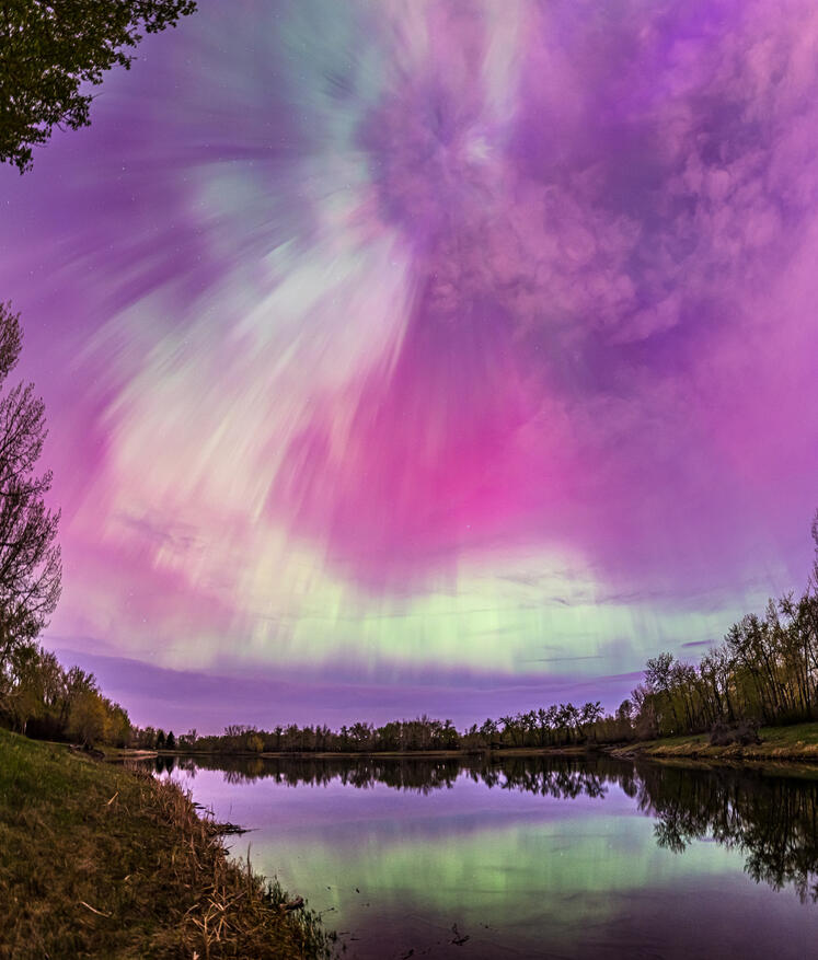 Pink Aurora in Calgary