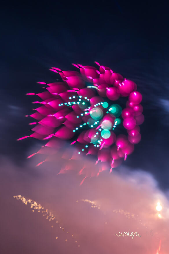 Pink Fireworks