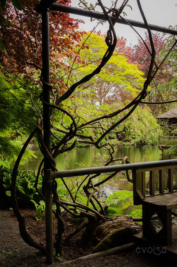 Royal Roads University Garden