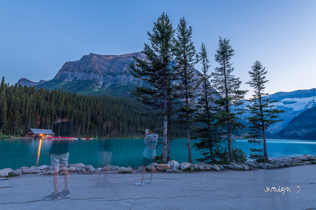 Fleeting Us, Still Nature