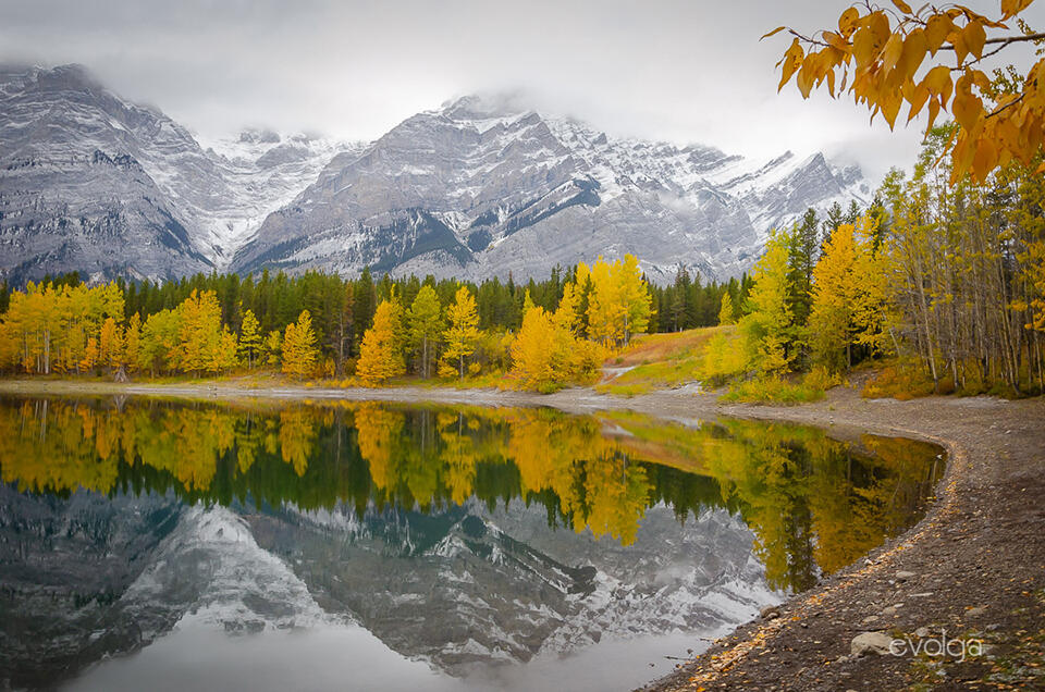 Wedge Pond in the Fall