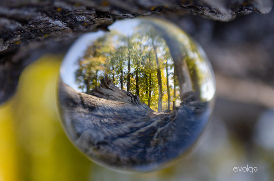 The World of Fish Creek Park